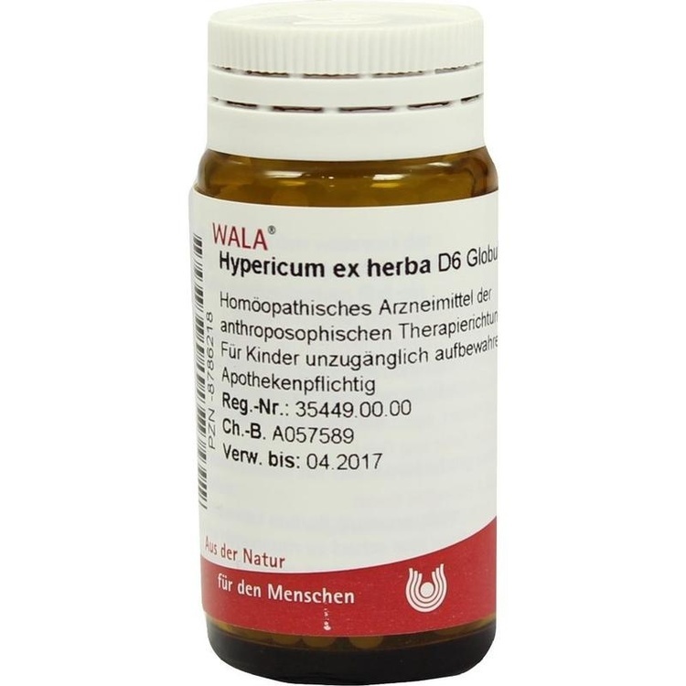 HYPERICUM EX Herba D 6 Globuli 20 g